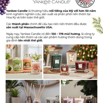 Nến ly mini Yankee Candle (37g) - Amber & Sandalwood