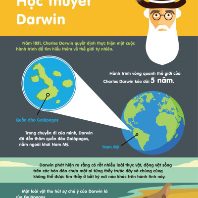Infographics - Bách Khoa Tri Thức Bằng Đồ Họa Cho Trẻ Em - Tiến Hóa