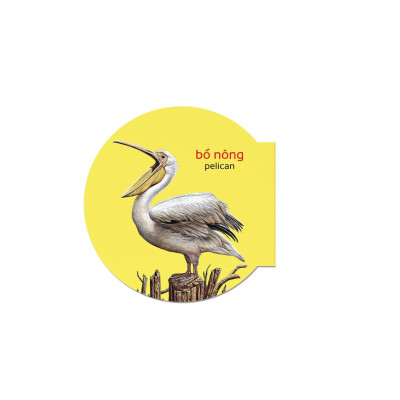 Picture Dictionary - Từ Điển Bằng Hình - Birds - Các Loài Chim - Bìa Cứng