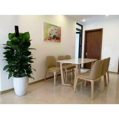 Bộ Bàn Ăn Mặt Đá 6 Ghế Grace Khung Gỗ Sồi Hiện Đại