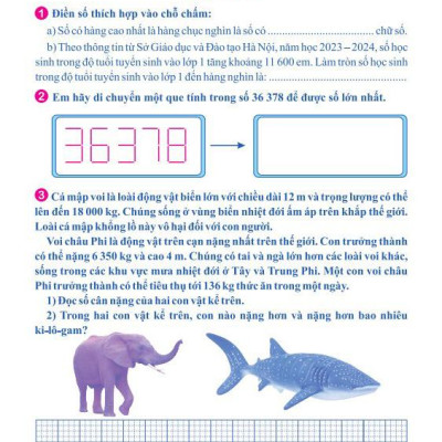 Phát Triển Trí Thông Minh Toán 4