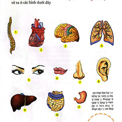 10 Vạn Câu Hỏi Vì Sao - Thân Thể Đáng Yêu (Tái Bản)