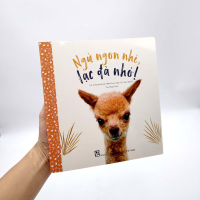 Ngủ Ngon Nhé, Lạc Đà Nhỏ!