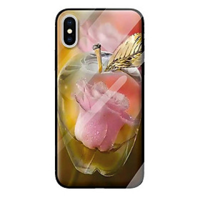 Ốp kính cường lực cho iPhone XS nền táo 1 - Hàng chính hãng