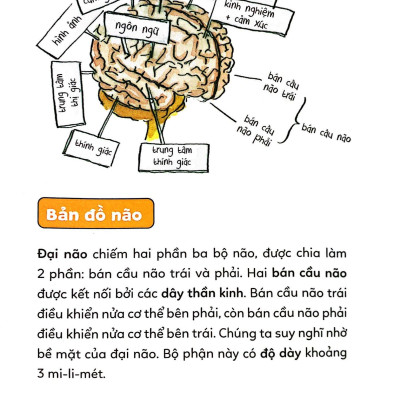 Pixi Thông Thái - Cơ Thể Diệu Kỳ