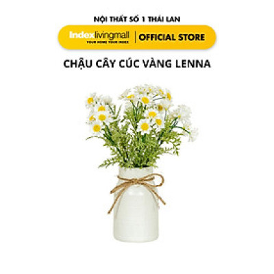 Chậu Cây Cúc Vàng LENA Với Bình Gốm Trang Trí Nhà Cửa | Index Living Mall | Nội Thất Nhập Khẩu Thái Lan - Phân Phối Độc Quyền Tại Việt Nam