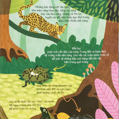 Cuốn sách đầu đời của bé - Khám phá động vật hoang dã