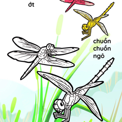 Nào Mình Cùng Tô Màu Nhé! - Côn Trùng