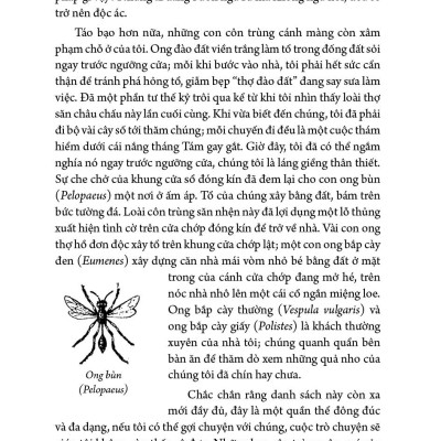 Combo 5 tập Côn trùng ký (1 - 5) - Ấn bản đầy đủ