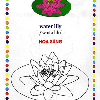Bé Tập Tô Màu - Các Loài Hoa (Song Ngữ Anh - Việt)