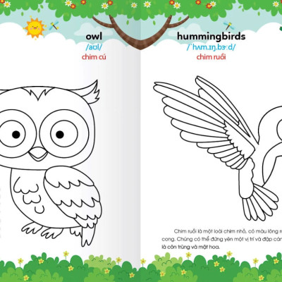 Colouring 365 Ngày Tô Màu - Khám Phá Thế Giới Phát Triển Trí Tuệ - Cuốn 1: Động Vật Nuôi, Chim, Cá