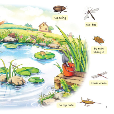 Cuộc Phiêu Lưu Của Mèo Tí Hon - Trong Hồ Nước