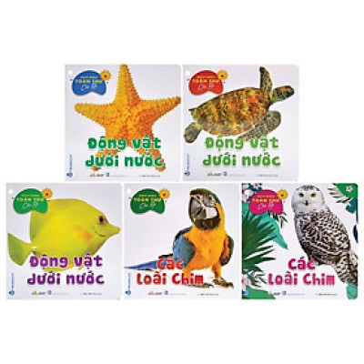 Bách Khoa Toàn Thư Cho Bé - Động Vật Dưới Nước (Bộ 5C) - Vanlangbooks