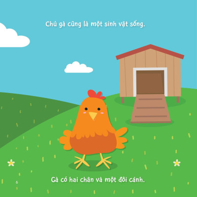 Sự Sinh Trưởng Kỳ Diệu Của Vạn Vật - Vòng Đời Của Gà