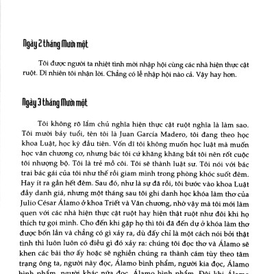 Thám Tử Hoang Dã - Roberto Bolaño