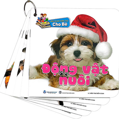 Sách - Bộ sách Bách Khoa Toàn Thư Cho Bé (Bộ 5 Cuốn)