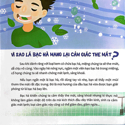 Hỏi Nhỏ Biết To - Thực Vật (Tái Bản 2022)