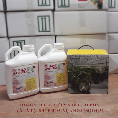 Dung Dịch Xử Lý Hoa TOG Galileo của ISRAEL (Chai 1 Lít) dùng bảo quản hoa cắt cành tươi lâu tại Nhà Vườn Trồng Hoa, Vựa Hoa và Chợ Sỉ Hoa. Tỷ lệ dung dịch 0.1% tức chai 1 Lít TOG pha được 1.000 Lít dung dịch xử lý hoa