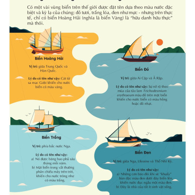 100 Bí Ẩn Đáng Kinh Ngạc Về Các Đại Dương - 100 Things To Know About The Oceans