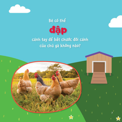 Sự Sinh Trưởng Kỳ Diệu Của Vạn Vật - Vòng Đời Của Gà