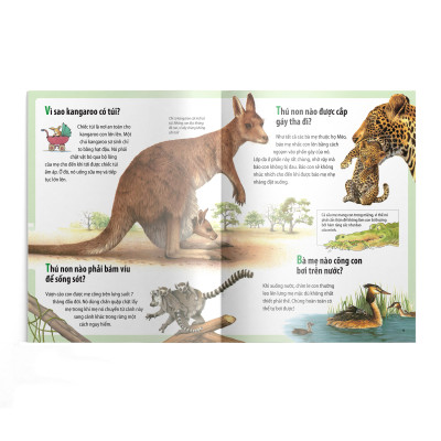 Em Muốn Biết Vì Sao - Kangaroo Có Túi Và Những Câu Hỏi Khác Về Con Non (Tái Bản 2022)