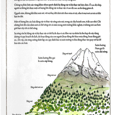 Bách Khoa Thư Cho Cả Nhà - Thế Giới Núi Non Bằng Tranh