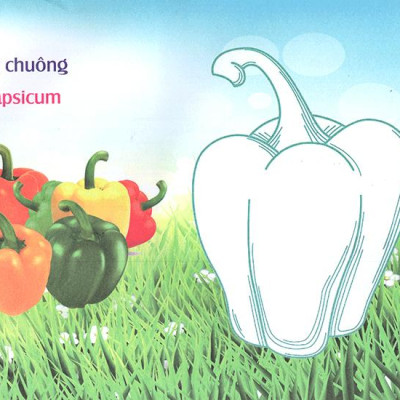 Bé Làm Quen Môi Trường - Rau Củ