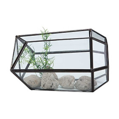 Cây Tiểu Cảnh TERRARIUM-C  Index Living Mall