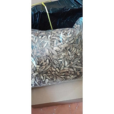 cây ký ninh khô gói túi 1kg