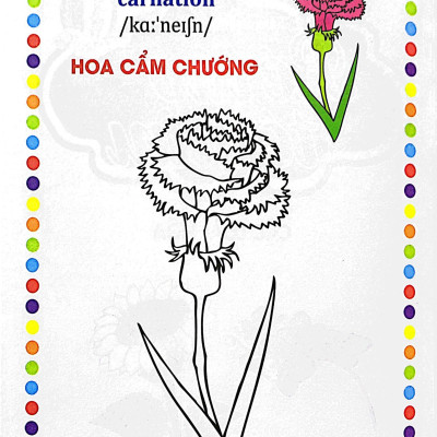 Bé Tập Tô Màu - Các Loài Hoa (Song Ngữ Anh - Việt)
