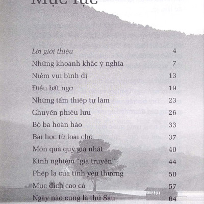 Hạt Giống Tâm Hồn - Tập 16: Tìm Lại Bình Yên (Tái Bản 2023)