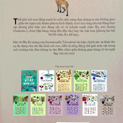 Bách Khoa Thư Cho Cả Nhà - Thế Giới Núi Non Bằng Tranh