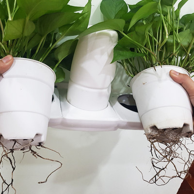 Combo 2 Bộ Chậu Tự Dưỡng Trồng Rau sạch, Trồng Cây Xanh Để Bàn Basic S & UNO nhập khẩu Bồ Đào Nha dành cho người yêu rau và cây tại nhà 