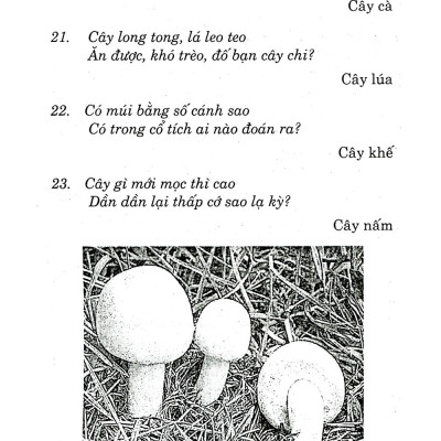 Câu Đố Tuổi Thơ