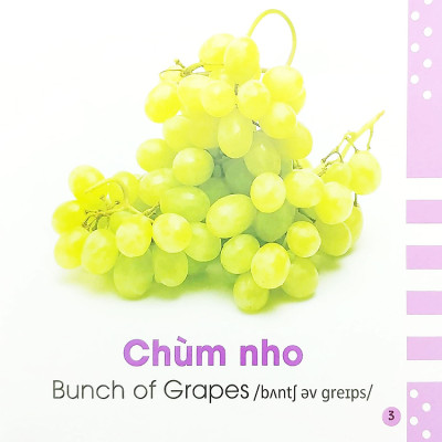 Từ điển bằng hình cho bé
