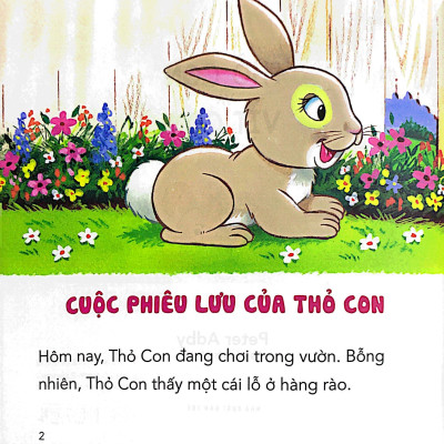Những Câu Chuyện Tình Bạn - Thỏ Con Và Vịt Con