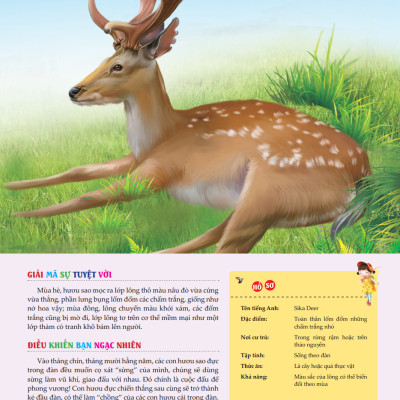 Bách Khoa Toàn Thư Tìm Hiểu Về Trái Đất - Thế Giới Động Vật (Tái Bản 2023)