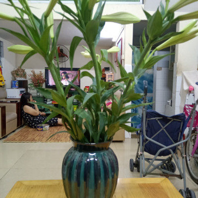 Lọ cắm hoa men hỏa biến gốm sứ Bát Tràng