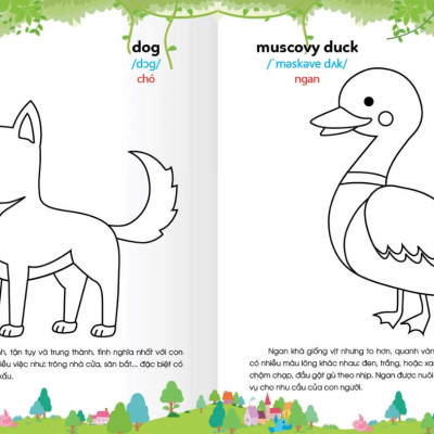 Colouring 365 Ngày Tô Màu - Khám Phá Thế Giới Phát Triển Trí Tuệ - Cuốn 1: Động Vật Nuôi, Chim, Cá