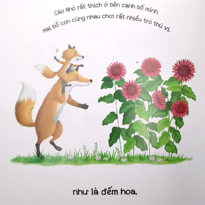 Những Lá Thư Của Bố