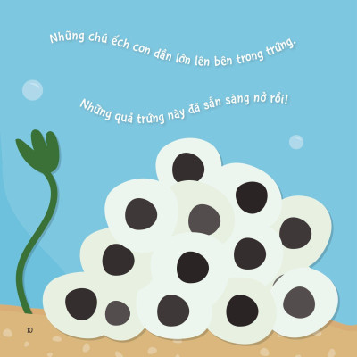 Sự Sinh Trưởng Kỳ Diệu Của Vạn Vật - Vòng Đời Của Ếch