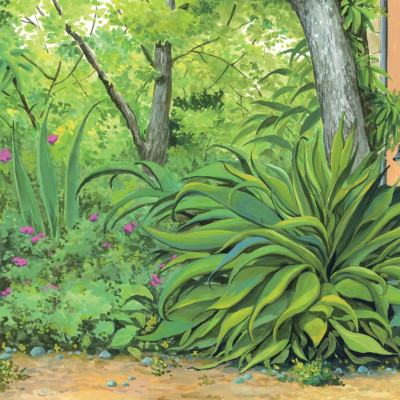 Sách - Truyện Tranh Khoa Học Về Các Loài Côn Trùng - Lính Trinh Sát Dũng Cảm - Kiến Polyergus