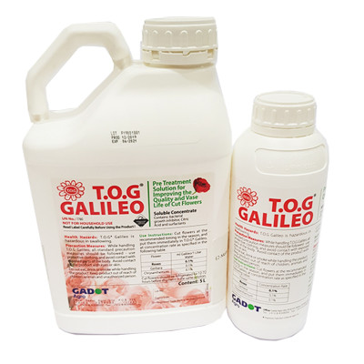 Dung dịch Bảo Quản Hoa Lâu tàn TOG Galileo Theo công nghệ của Israel (Can 5 Lít đậm đặt ) giúp xử lý hoa tươi lâu tại Nhà Vườn Trồng Hoa và Vựa Hoa