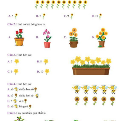 Bài Tập Tuần Toán 1 - Tập 1 (Cánh Diều)