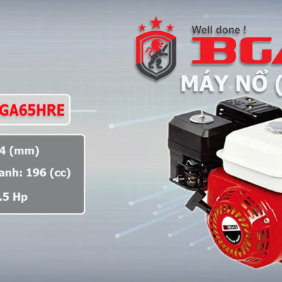 Máy nổ chạy xăng 6.5HP Bgas BGA65HRE (cốt xéo)
