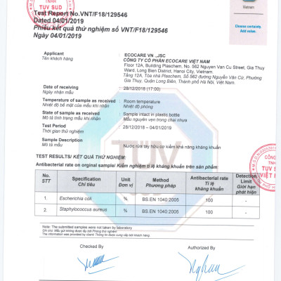 Nước rửa tay hữu cơ diệt khuẩn dạng bọt hương Nhài 4000ml thương hiệu Ecocare ( tặng kèm vỏ tạo bọt)