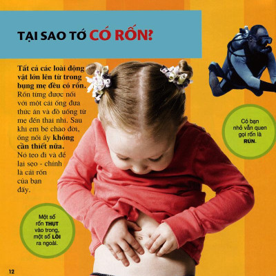 Cuốn Sách Lớn Đầu Tiên Của Tớ - Những Câu Hỏi Tại Sao - Bìa Cứng (Tái Bản 2024)