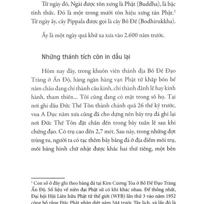 Hạt Nắng Bồ Đề