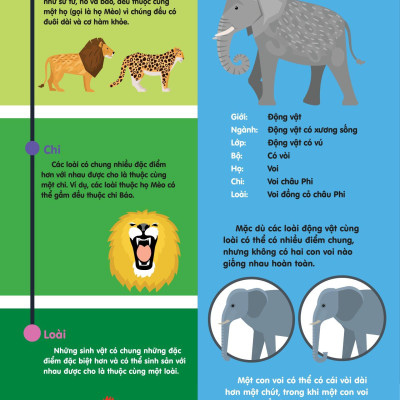 Infographics - Bách Khoa Tri Thức Bằng Đồ Họa Cho Trẻ Em - Tiến Hóa