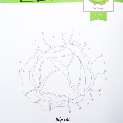 Dot To Dot Coloring Book - Nối Số & Tô Màu - Rau, Củ, Quả